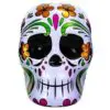 Day of the dead scull