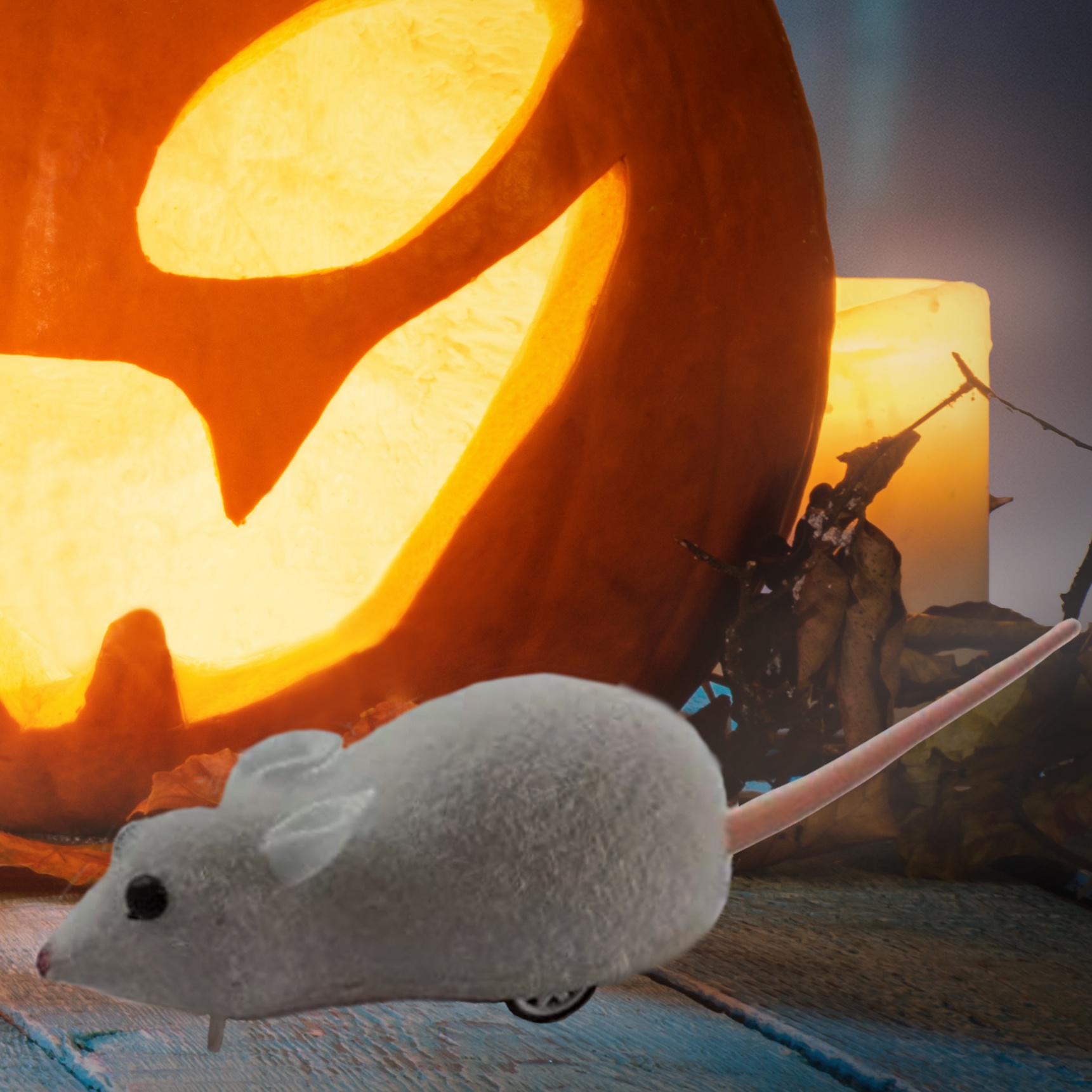 Spooky mouse