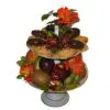 Fruits and Cookies