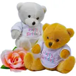 Happy Birthday Teddy 6" +$11.95